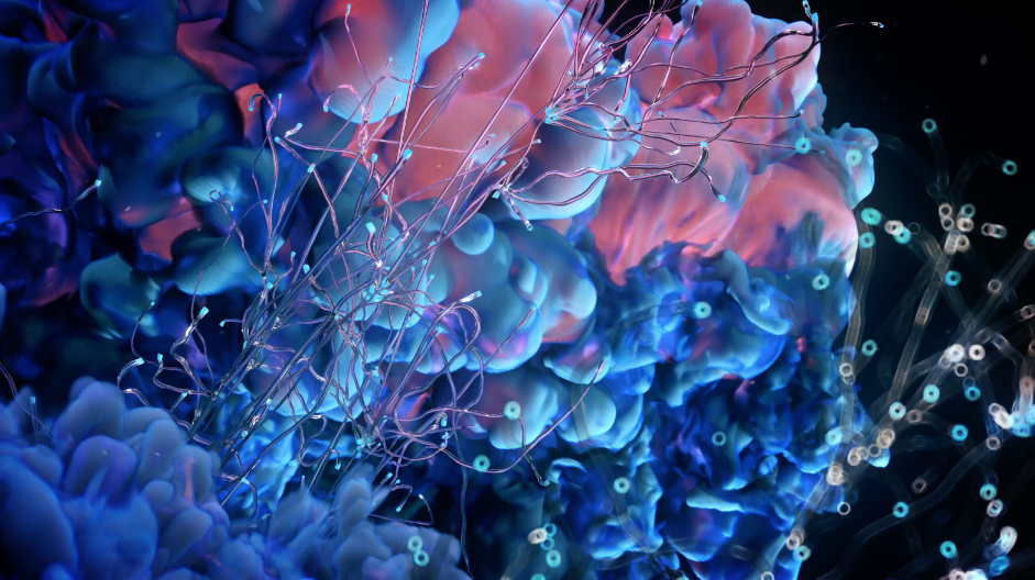 Screen Shot 2019-04-15 at 12.17.03 PM.png
