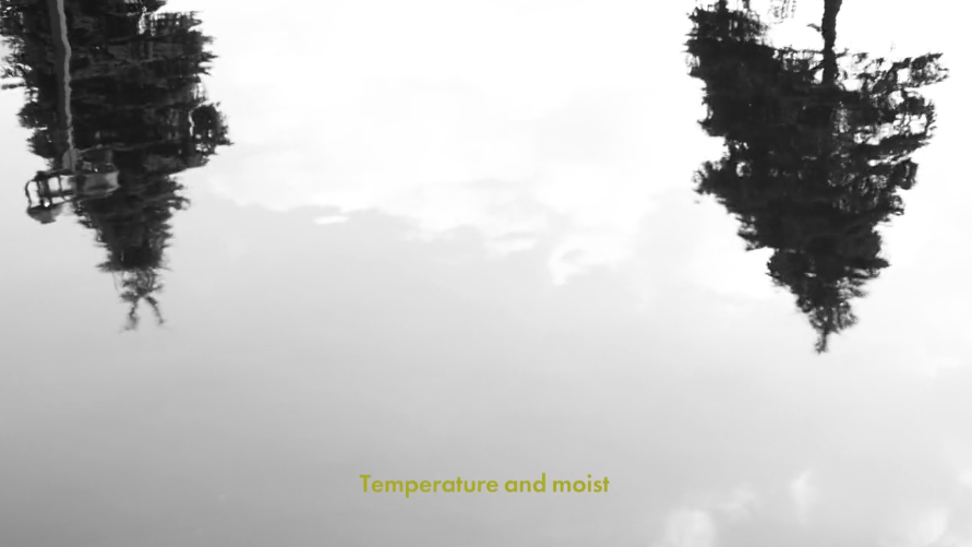 Screen Shot 2019-10-30 at 3.13.24 PM.png