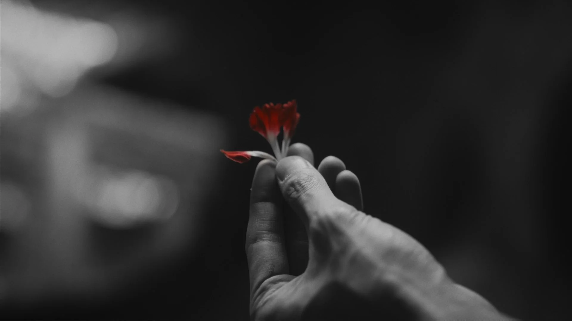 Clean_藍奕邦《圍牆倒下前》_1112_Final Output_youtube_90014.jpg