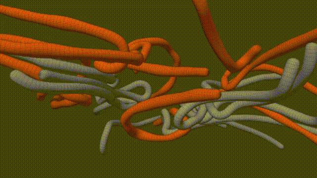 0320_ropes_WF_1.gif