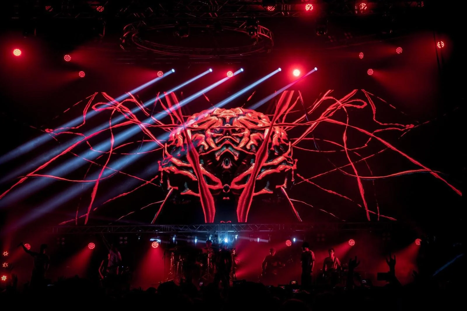 WhatsApp Image 2026-02-03 at 17.32.05.jpeg