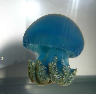 Blue Blubbers2.jpg