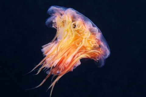 20120714-4_15.jpg
