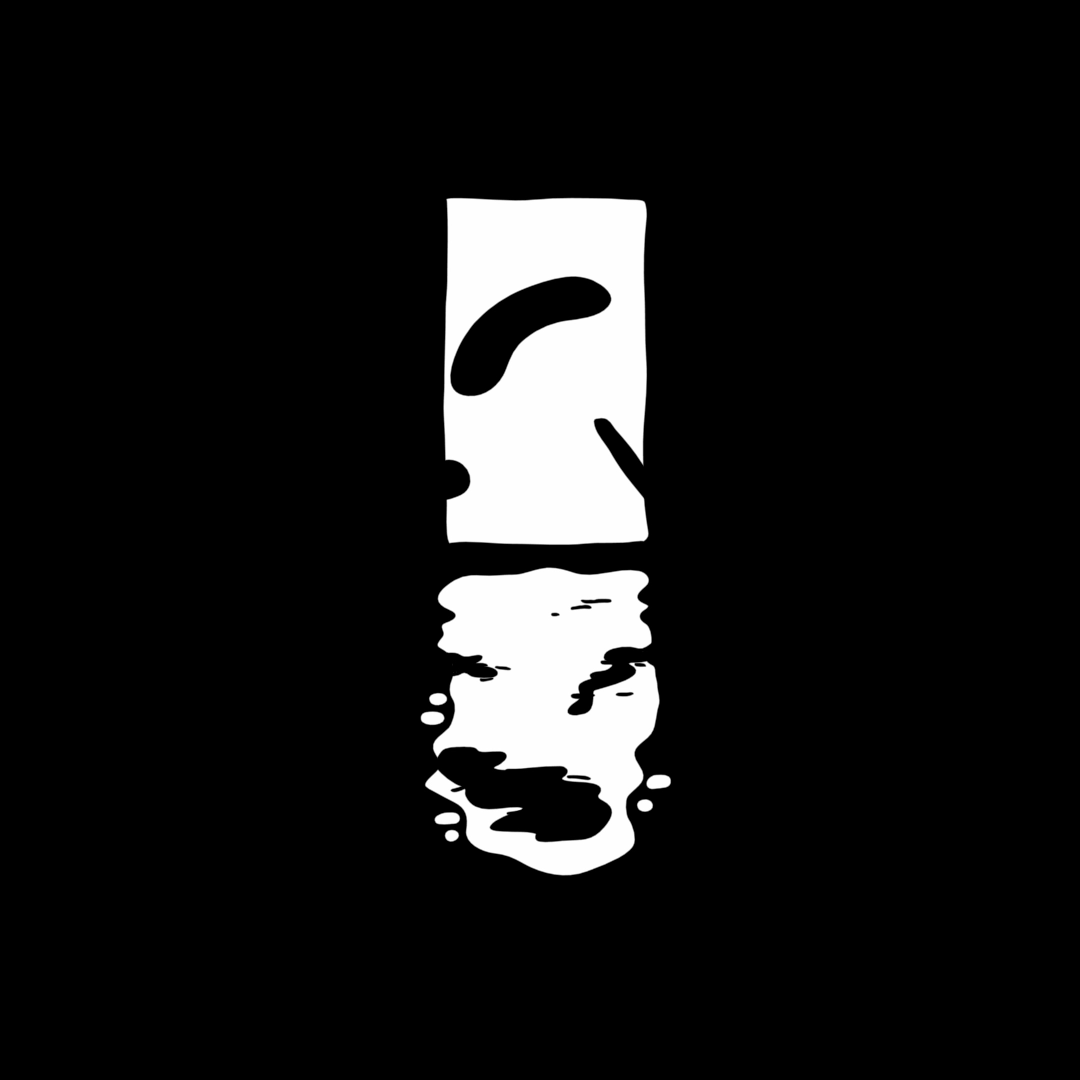 reflectionb.gif