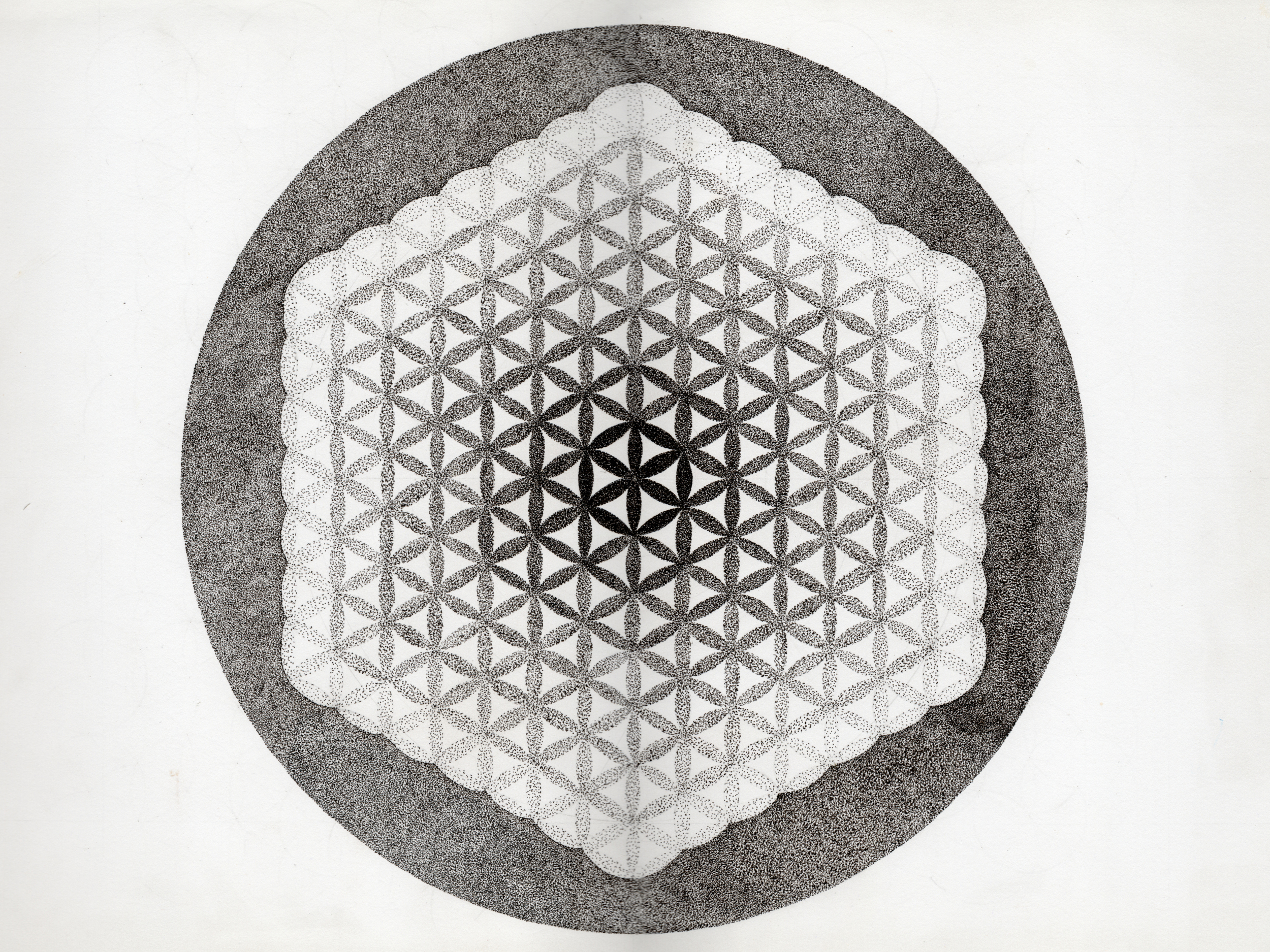 Illustration - Flower of Life.jpg