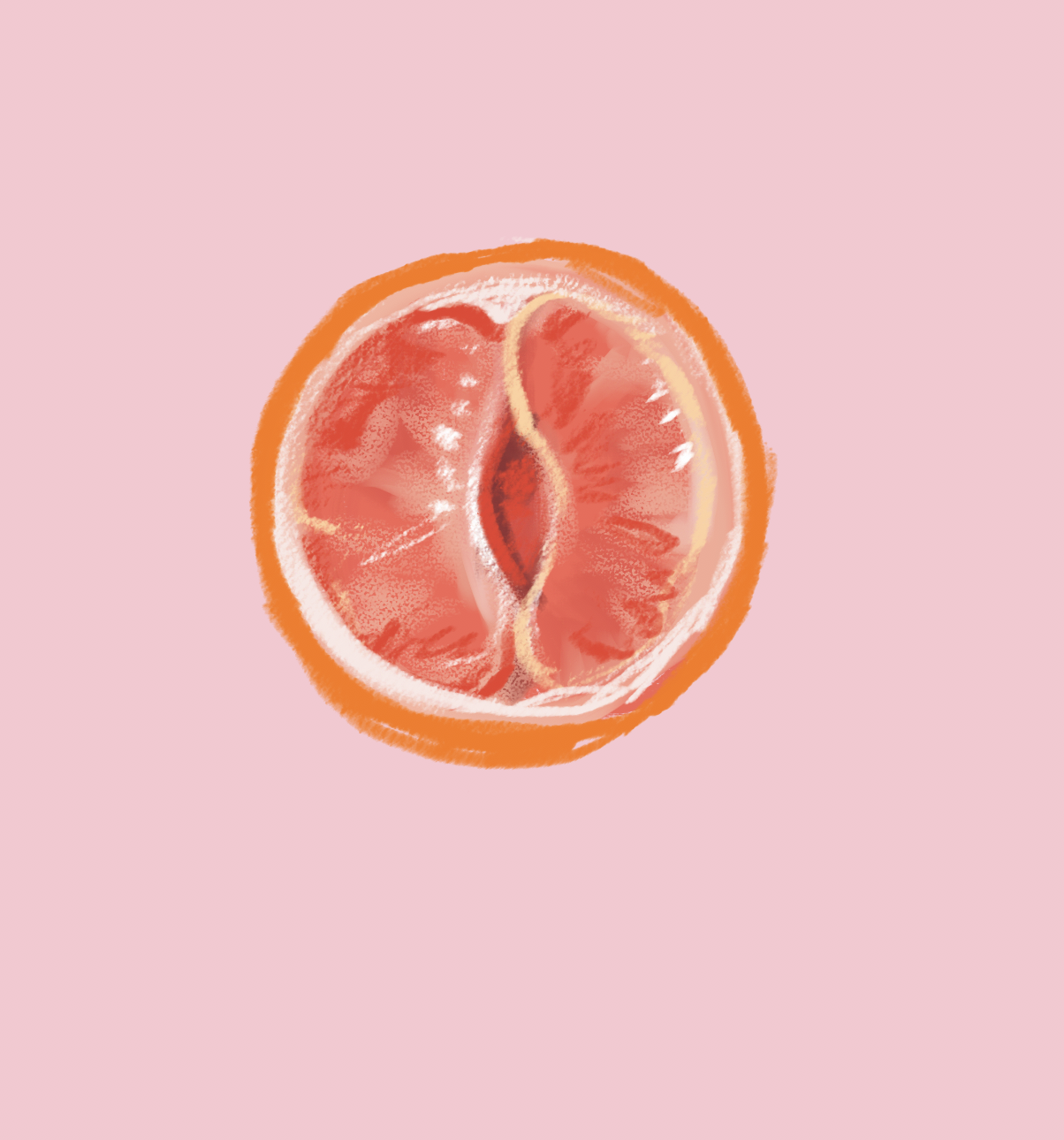 grapefuit.png