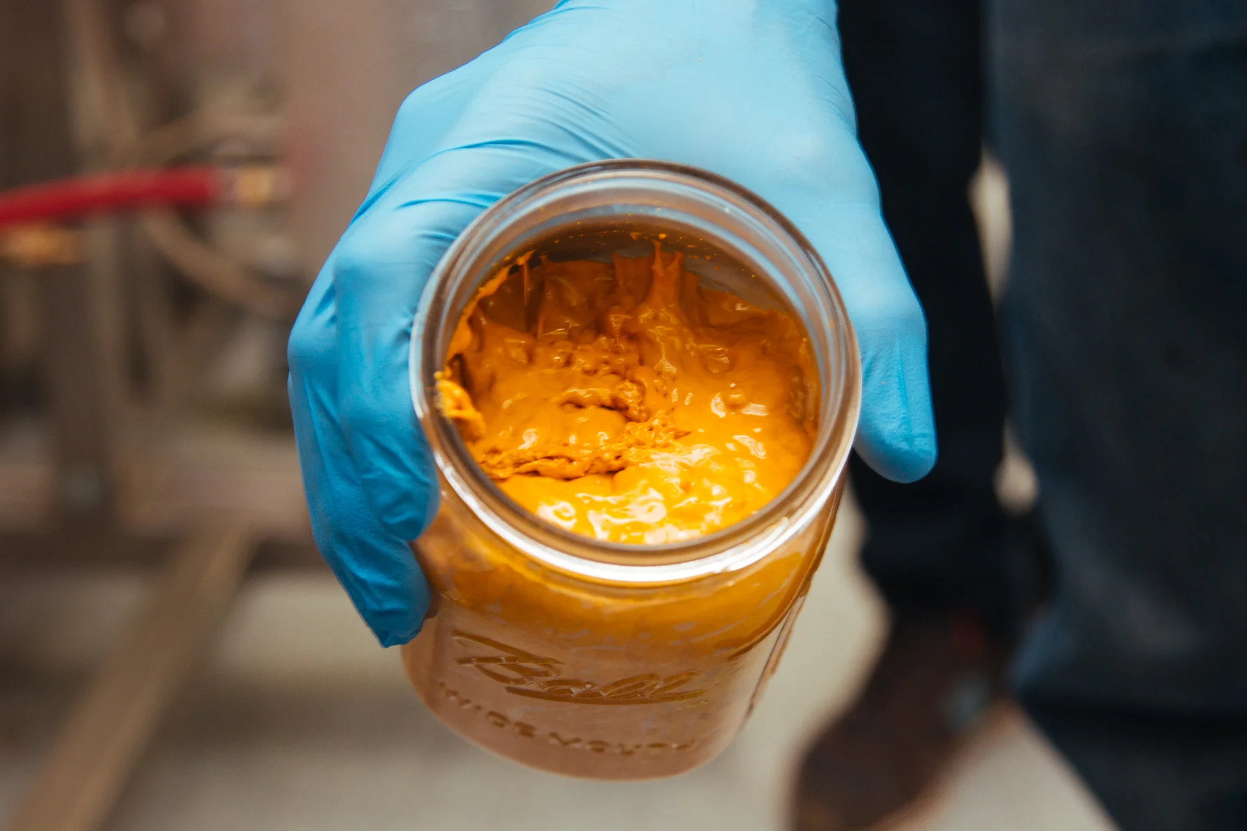 Liquid Gold: Cannabis oil concentrate