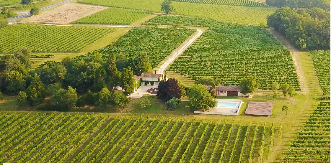 Drone pic - Copy2.png
