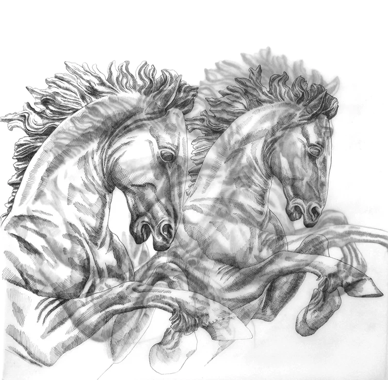Trafalgar Horses
