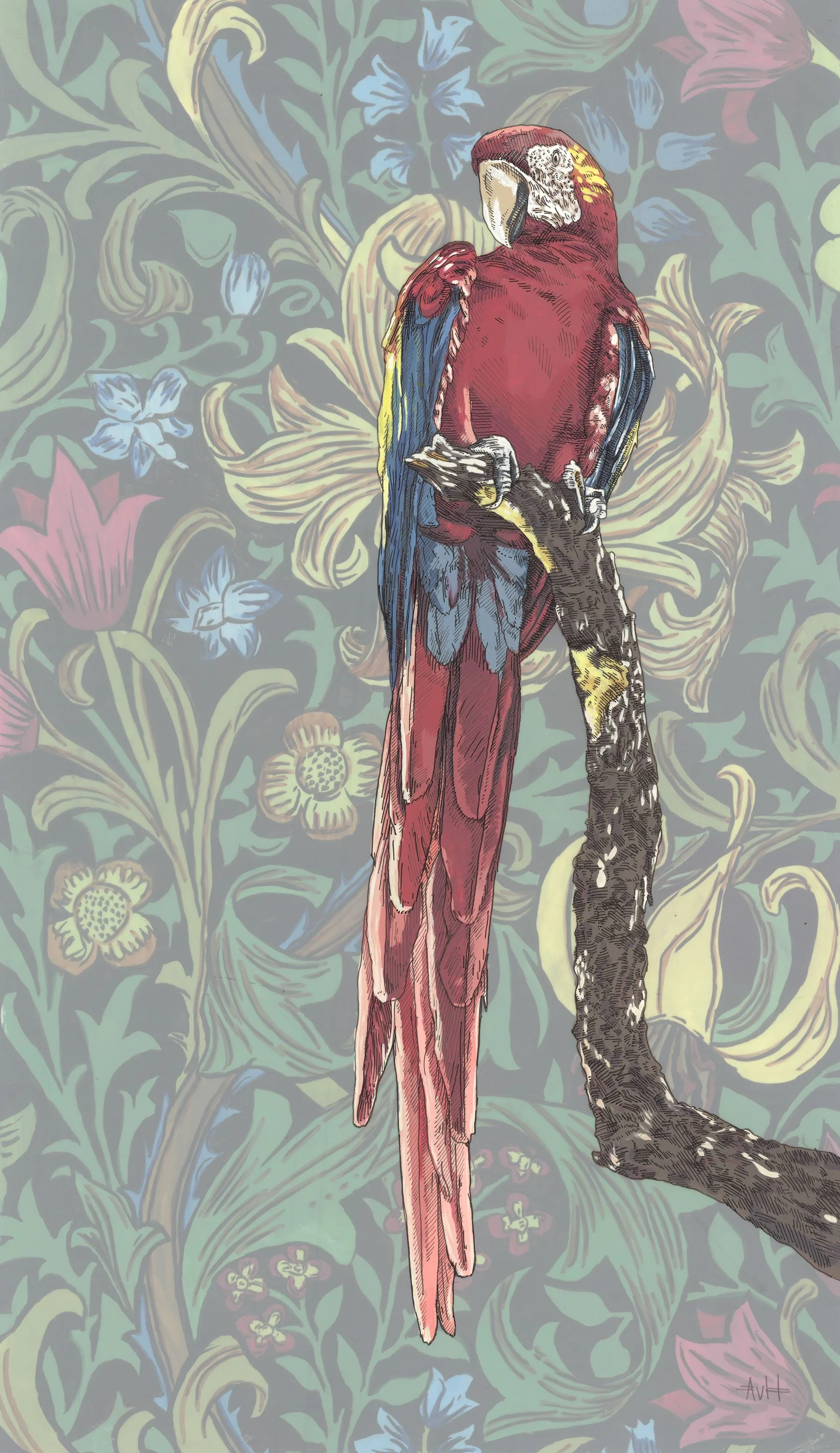 Botanical Parrot II