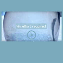 The Breathing Jar (video)