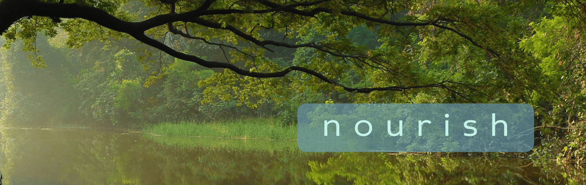 Nourish 2018 web header-min.png