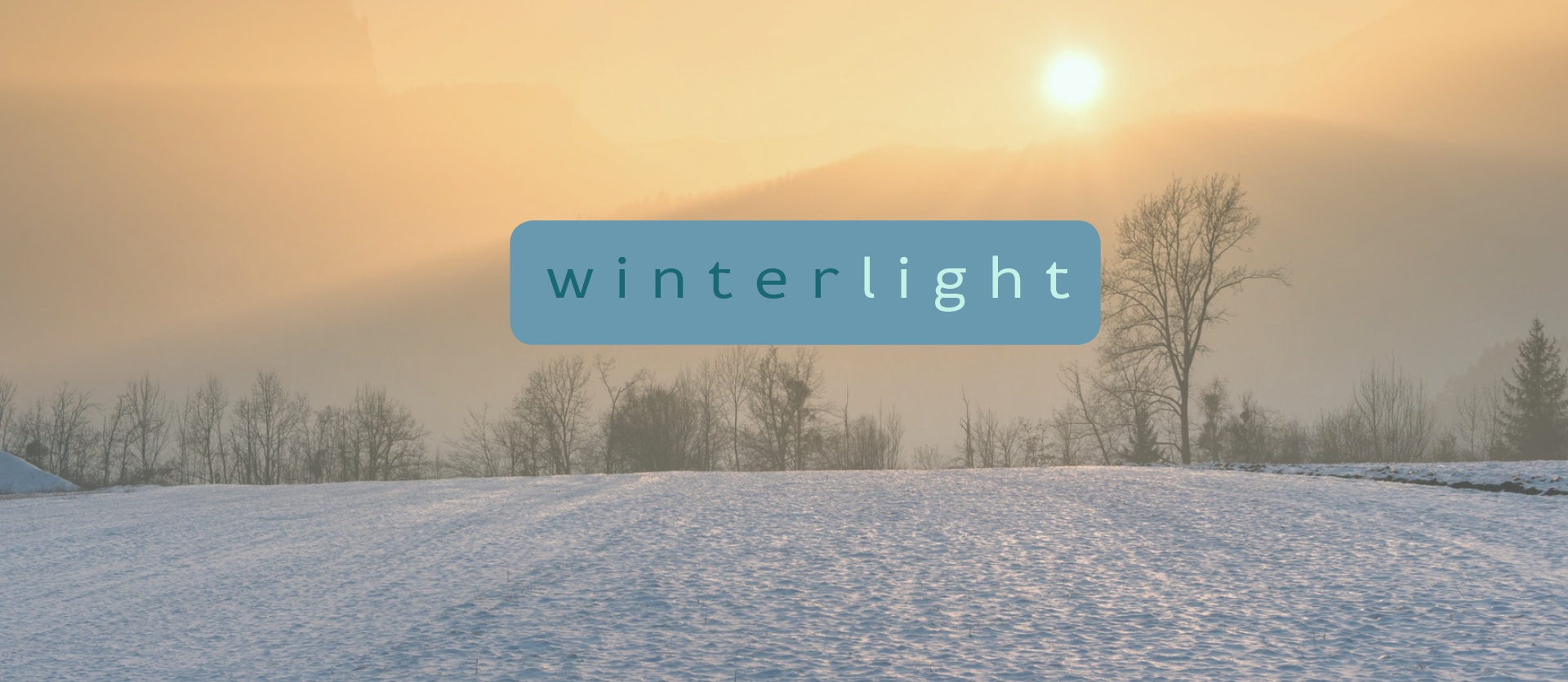 winterlight+newsletter+header.jpg