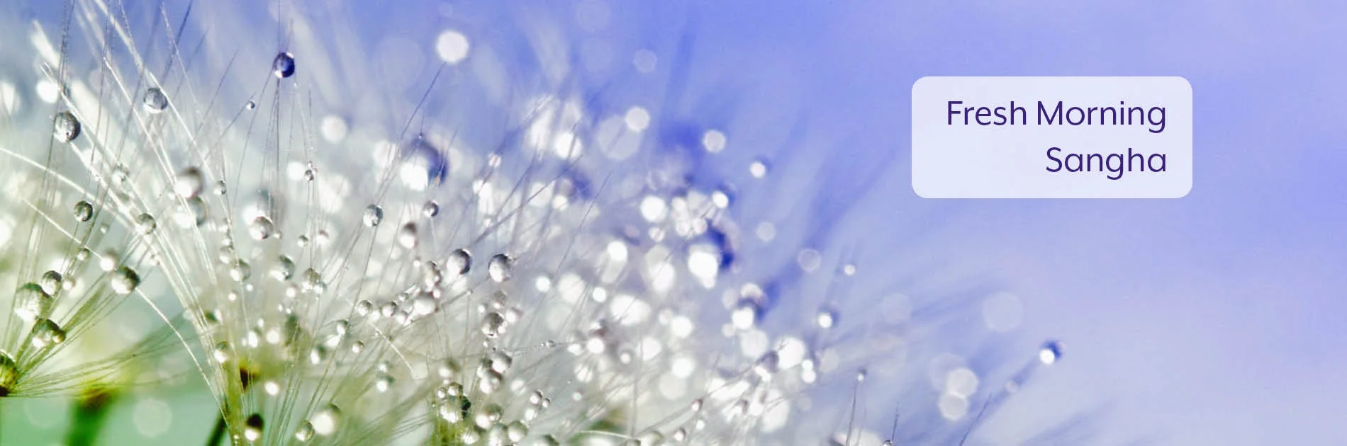 FreshMorning-banner.jpg