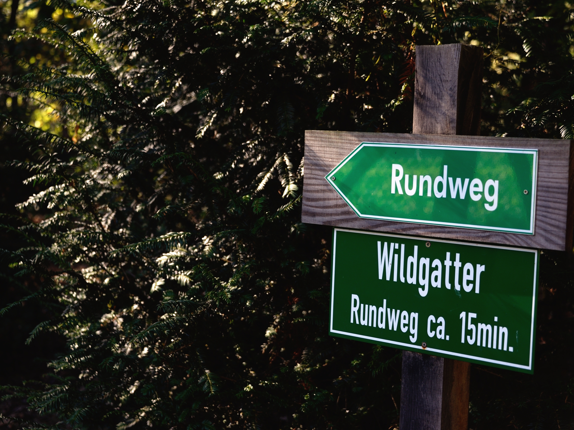 The deer path in the Stadtwaldhaus