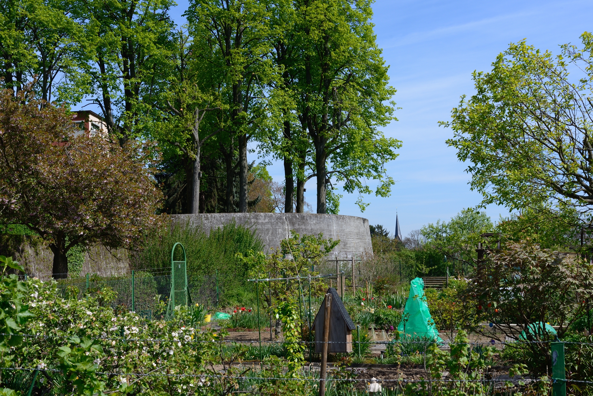 View of Schrebergartens and Römerstadt walls