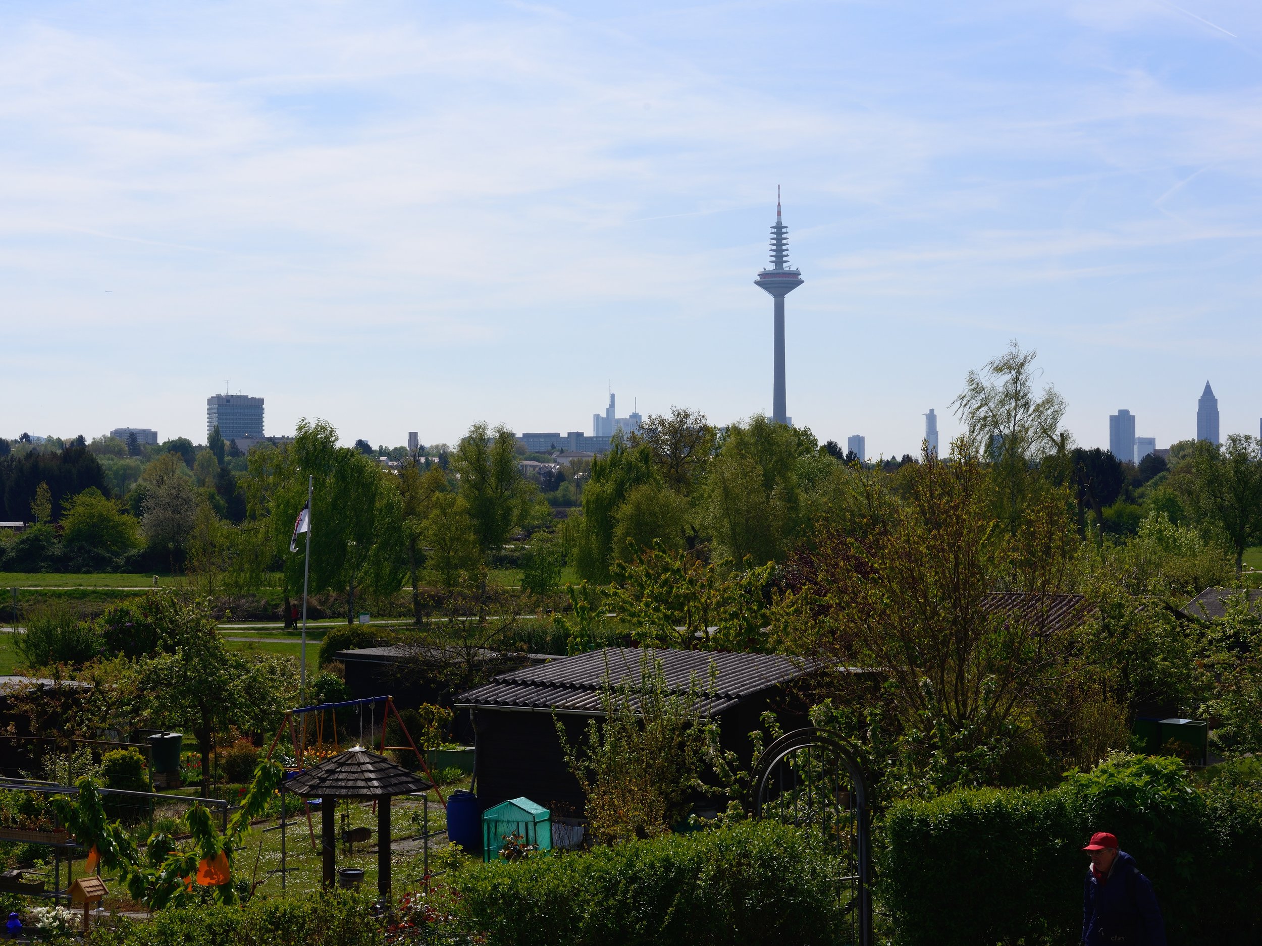 Skyline view of Frankfurt from the Römerstadt walls