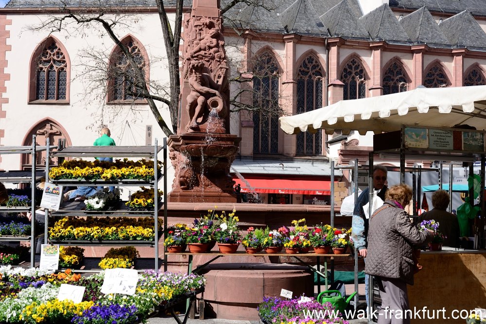 Liebfrauen Church and flower market