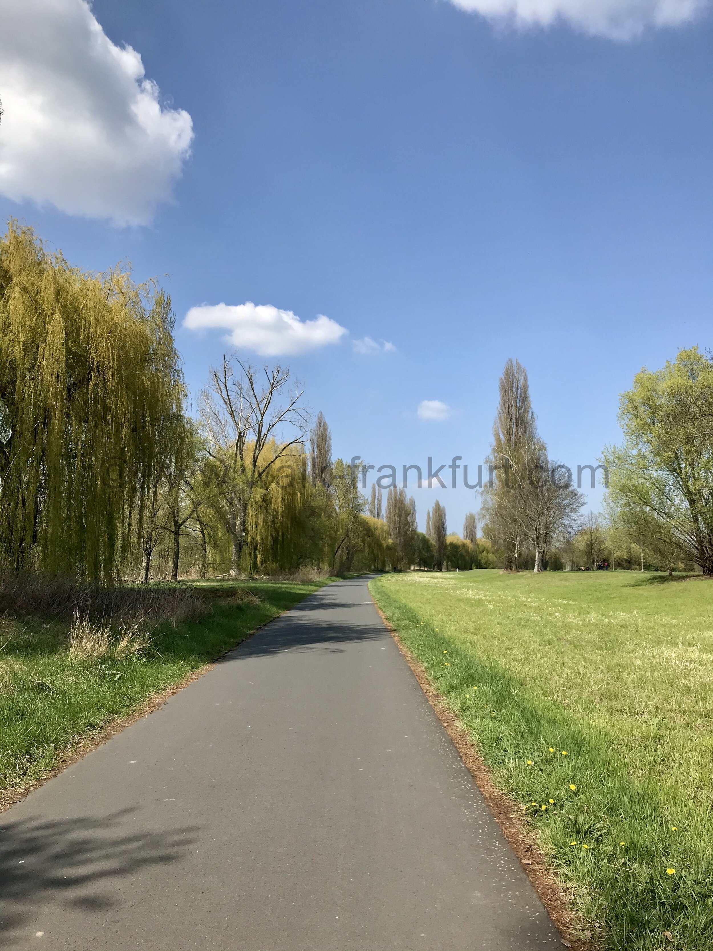 Walk to Rumpenheim