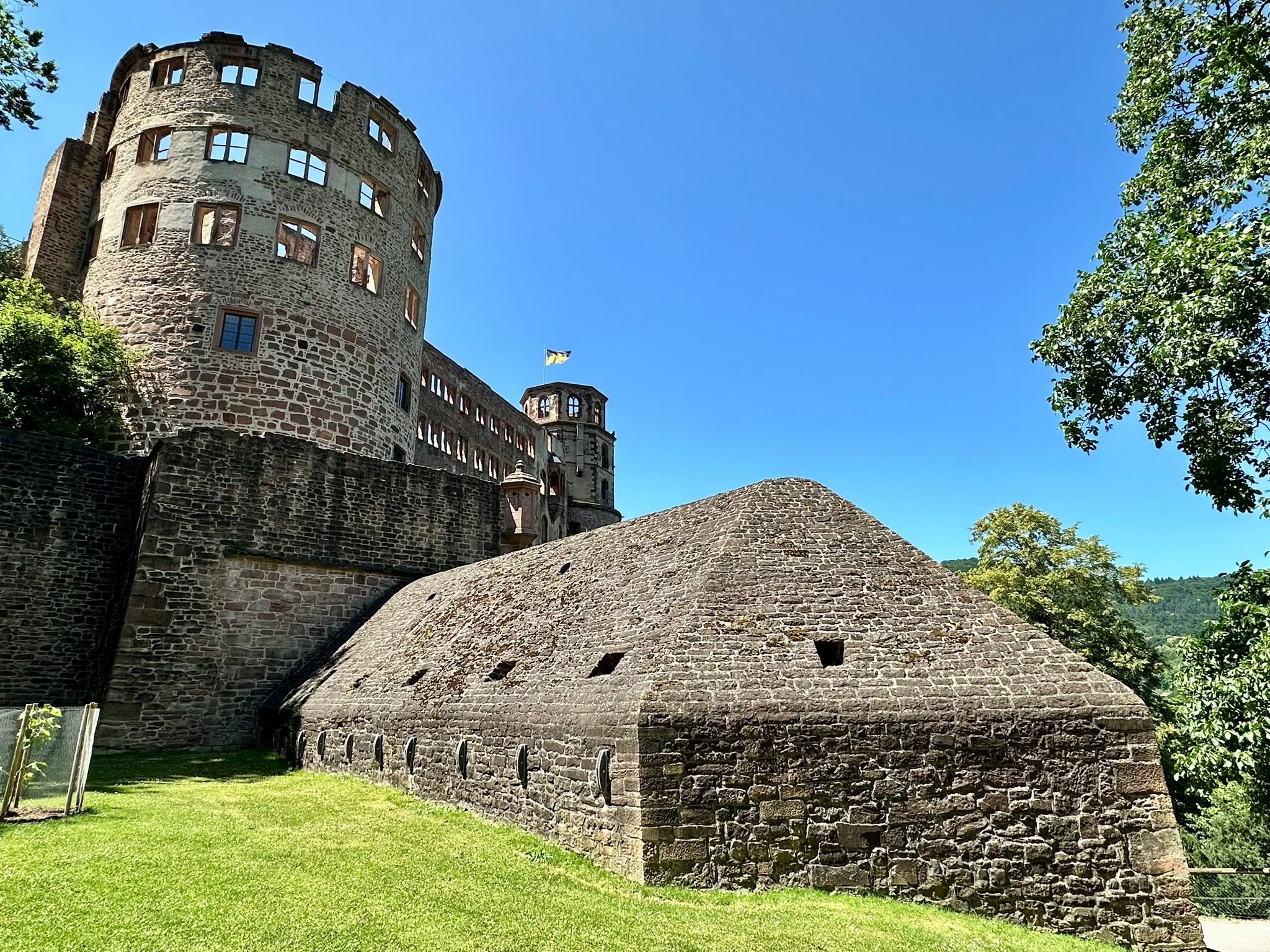 Historic Heidelberg castle with a large round tower and smaller attached casemate, surrounded by green grass and trees, under a clear blue sky.