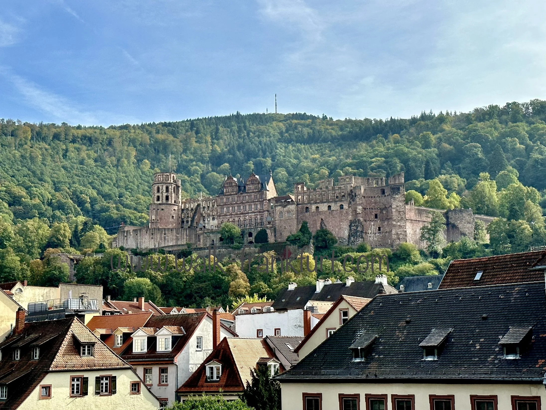 Heidelberg castle