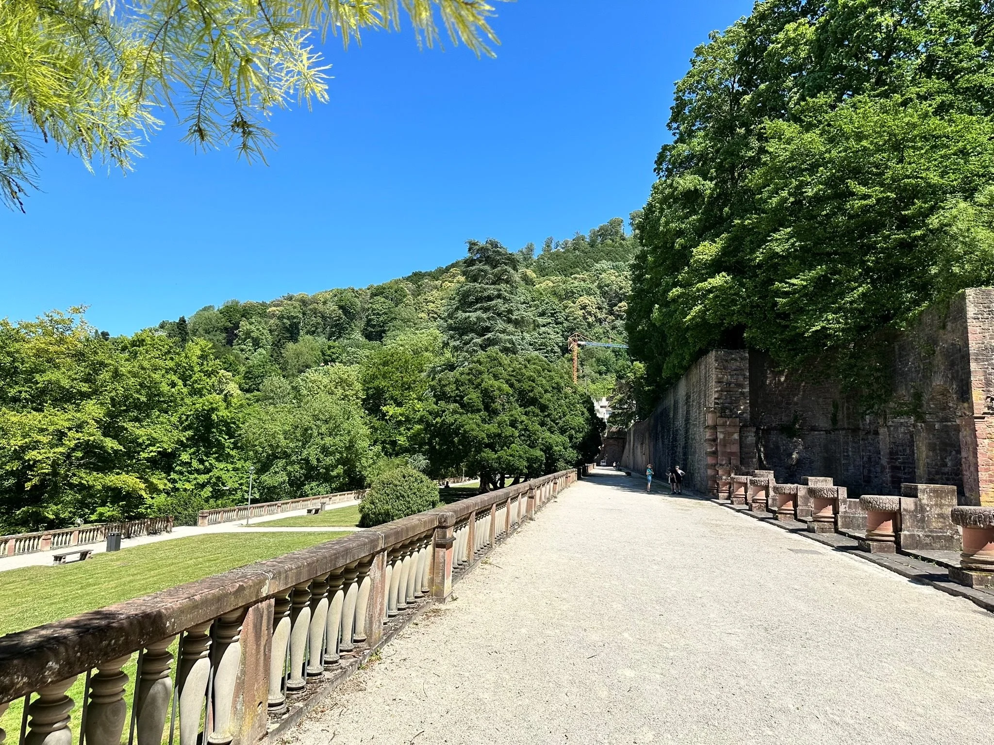 Heidelberg castle garden terrace. A wide gravel pathway bordered by stone balustrades on the left and tall green trees on the right, with a lush hill covered in dense trees in the background, under a bright blue sky.
