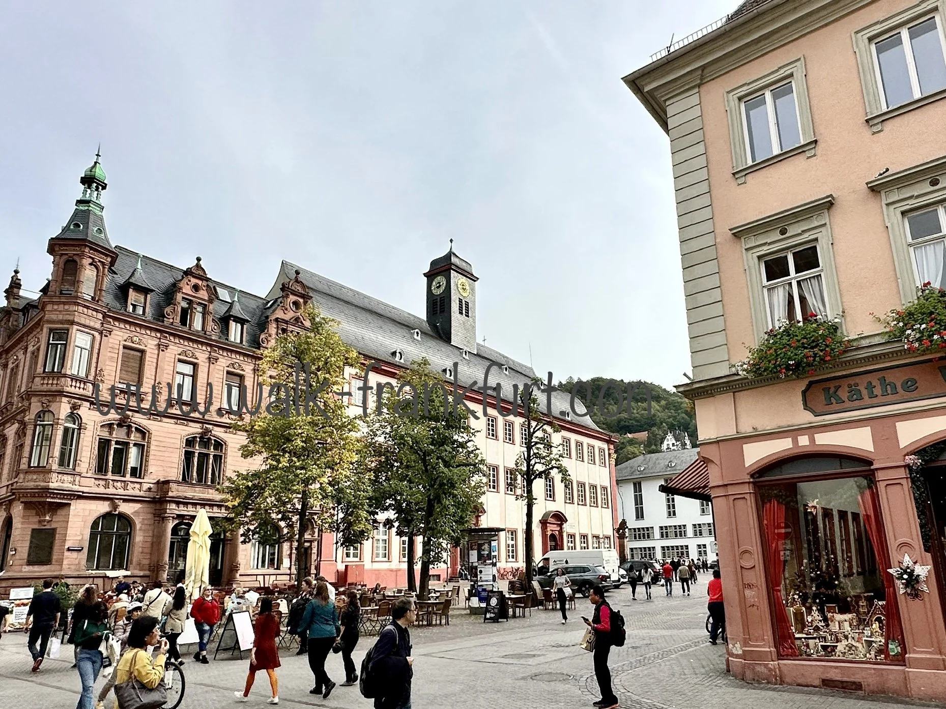 Heidelberg university