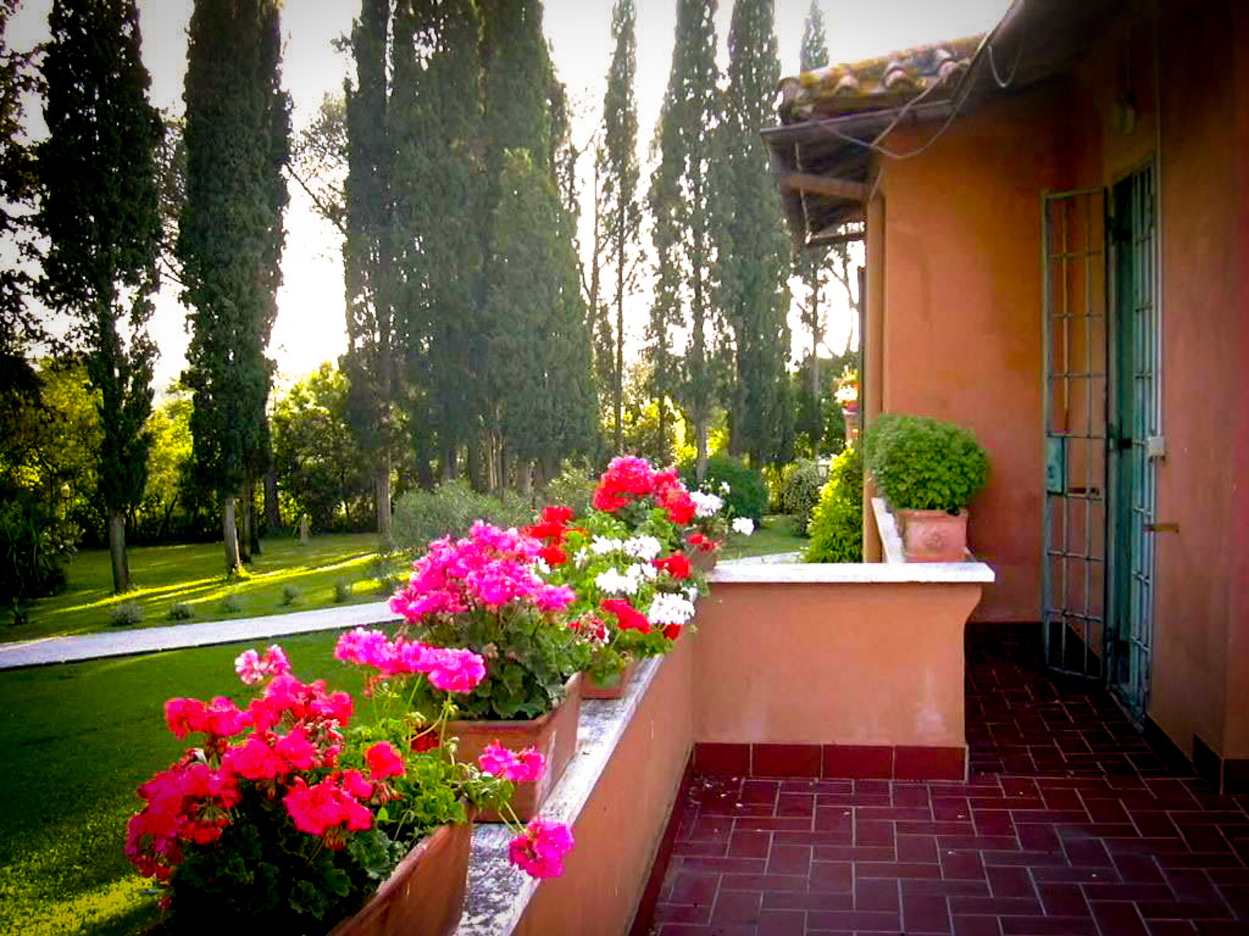 Terrace