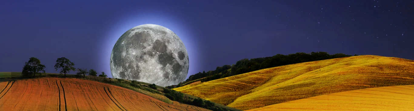 Background (1).jpg