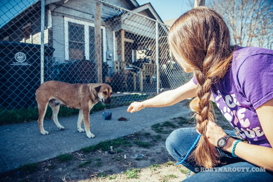 A much different kind of Behind-The-Scenes.