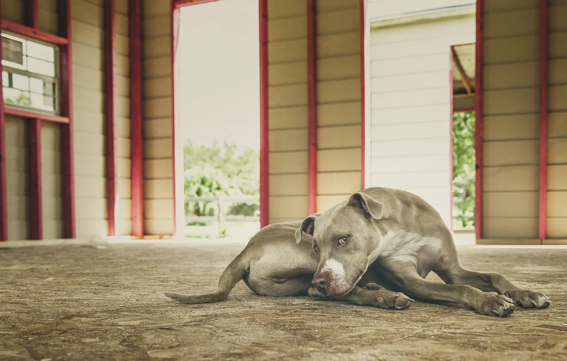 Walter’s Second Chance