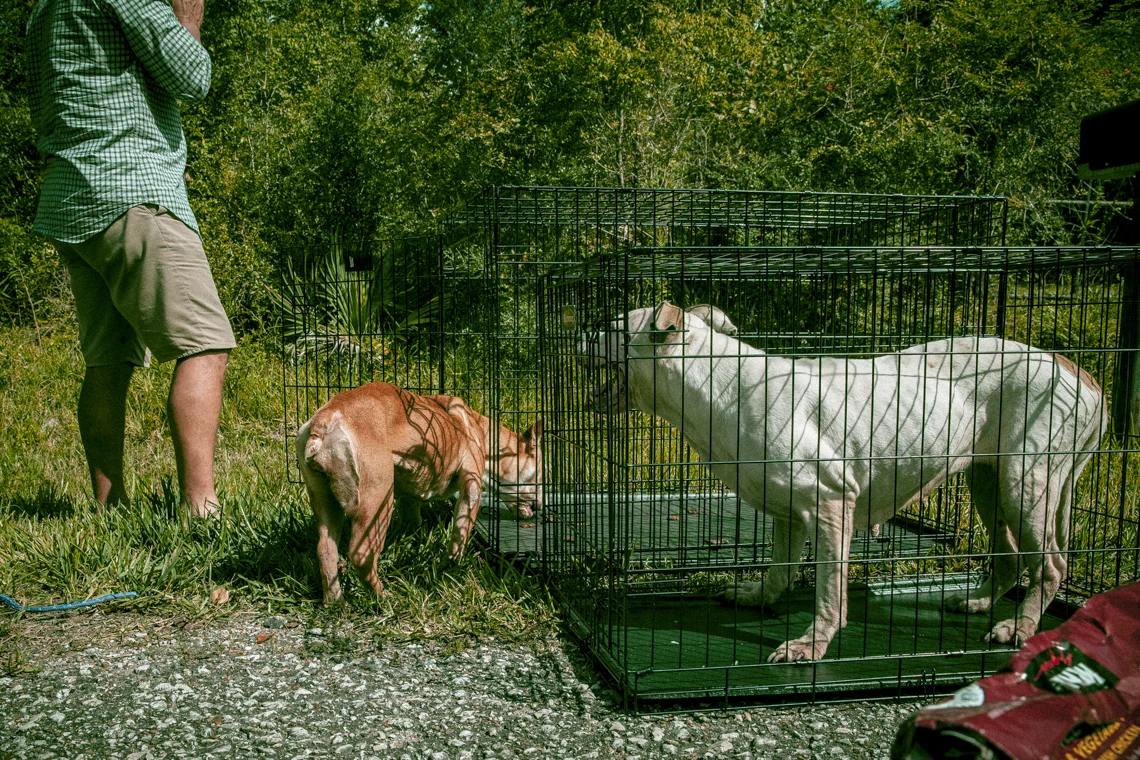 Chapter Ten: White Flags & Stuff