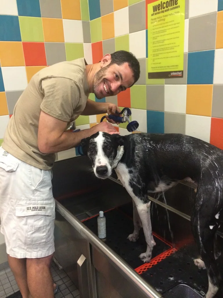 Chapter Six: Dreams Do Come True