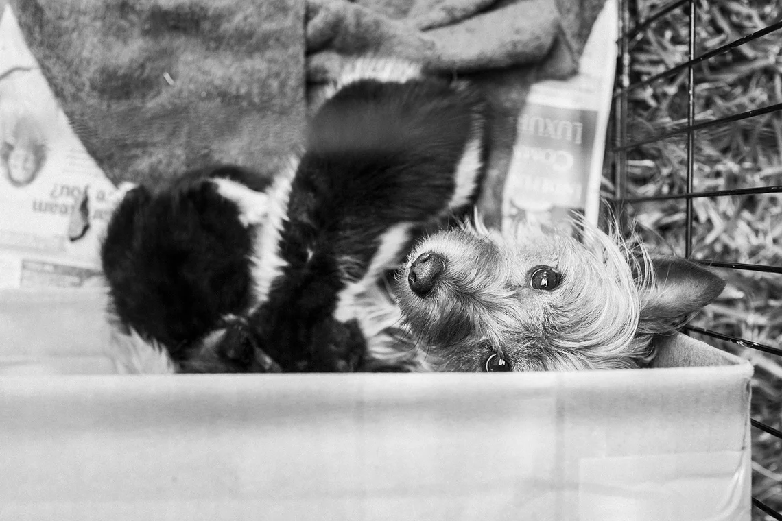 Just when you think you’ve seen it all.