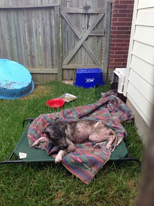 My Name is Maximus Decimus Martinez. Part One.