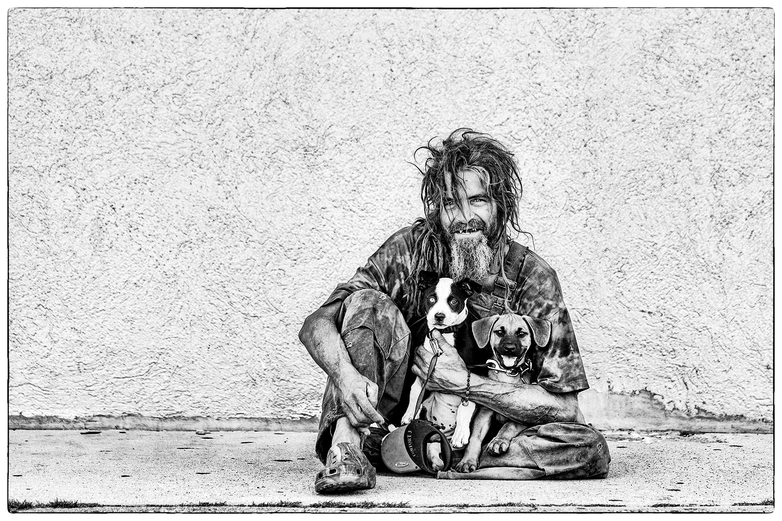 Love Stories.  The Human/Animal Bond.