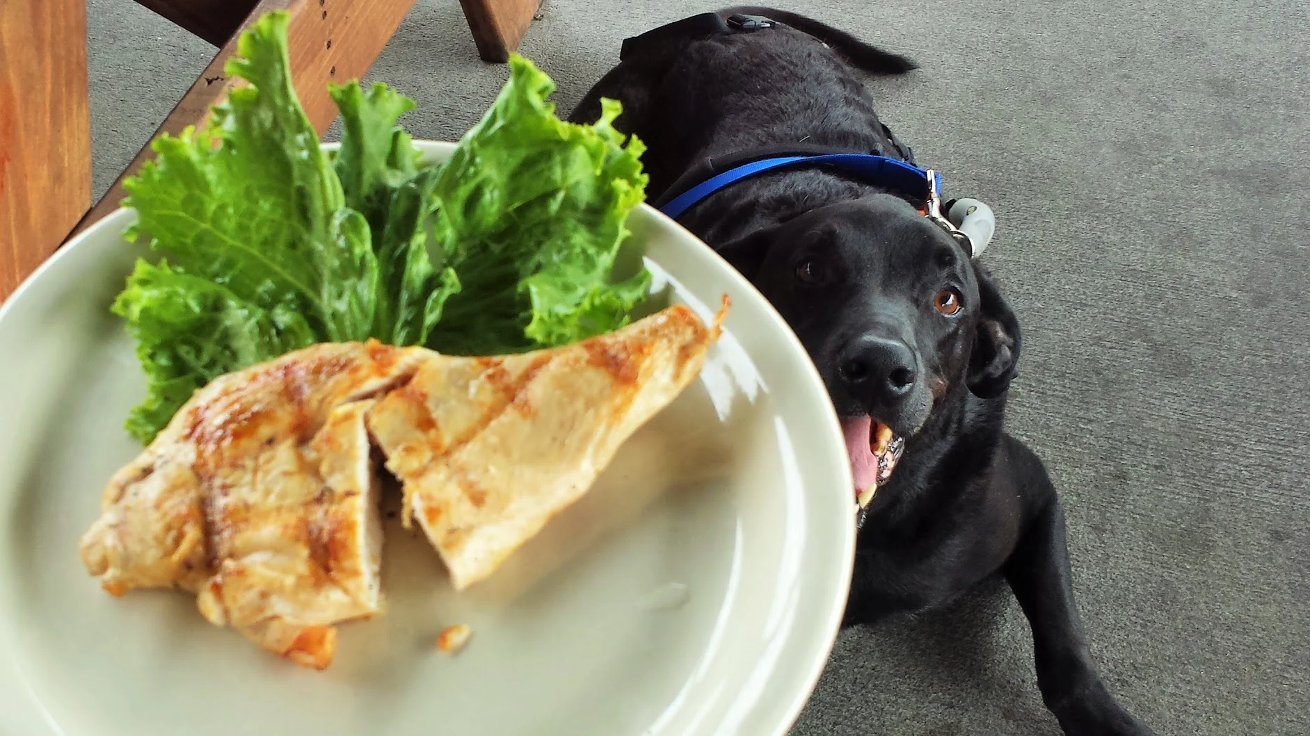 Before Duke Died, He Lived.