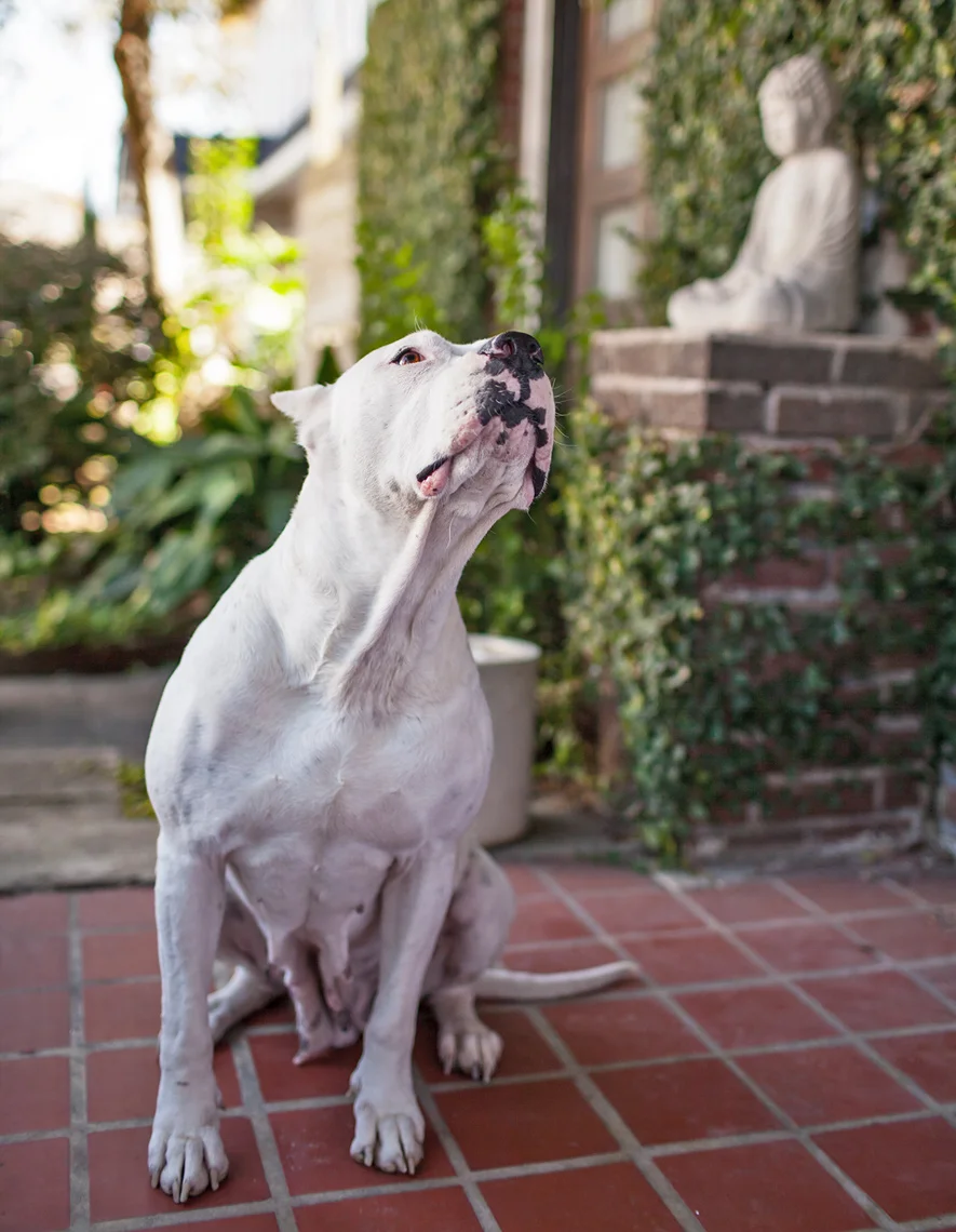 We all have a story. This is Kellan’s.