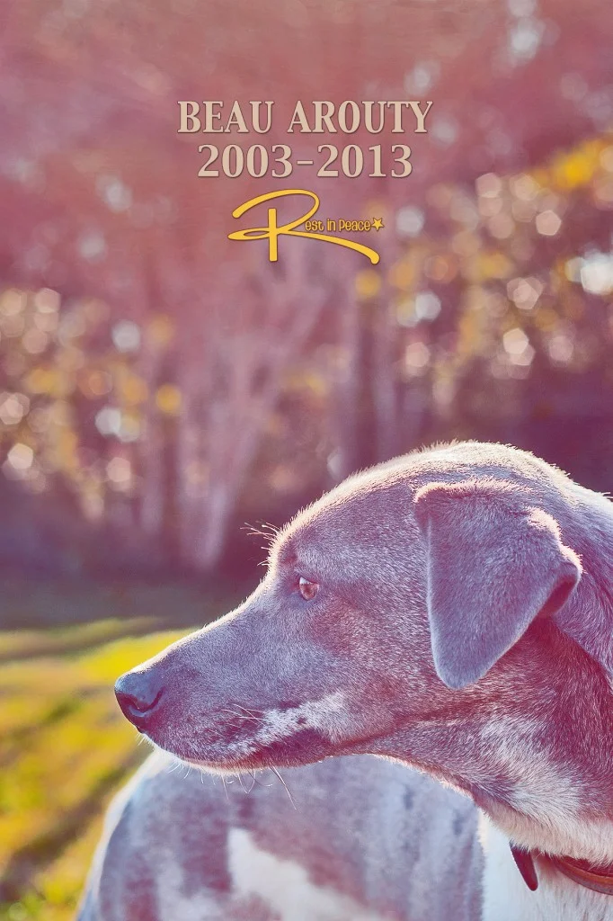 Loving Beau. The Village.