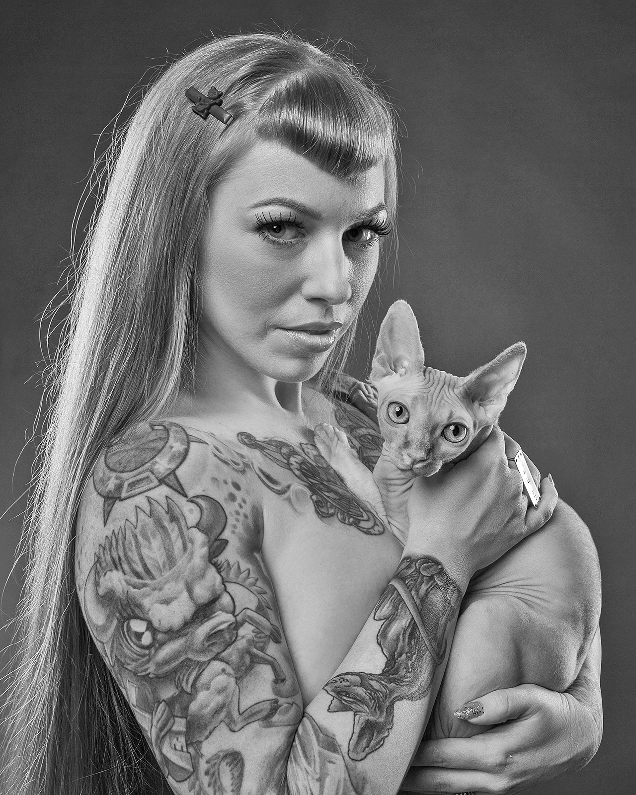 Robyn Arouty — Cat Photographer Houston - Pet Photographer Houston