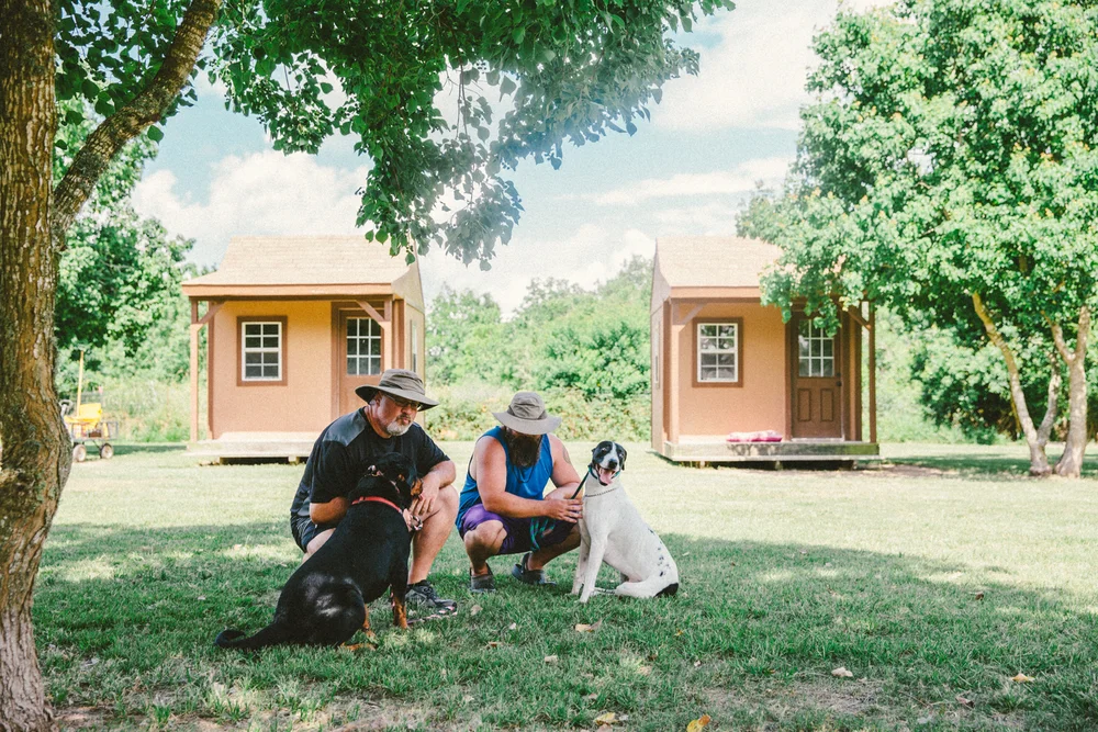 Matt and Ryan training Beyla and Sarah's dog Bronson together