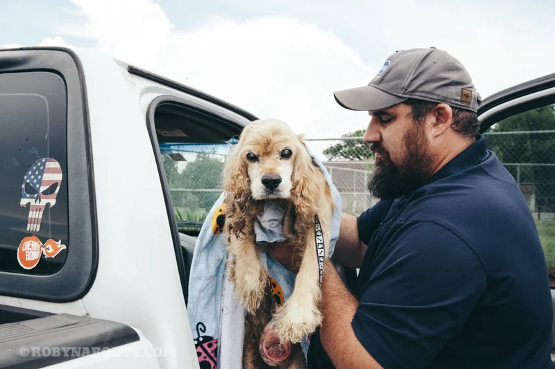 Goldilocks. Blood. Sweat. And Tears.