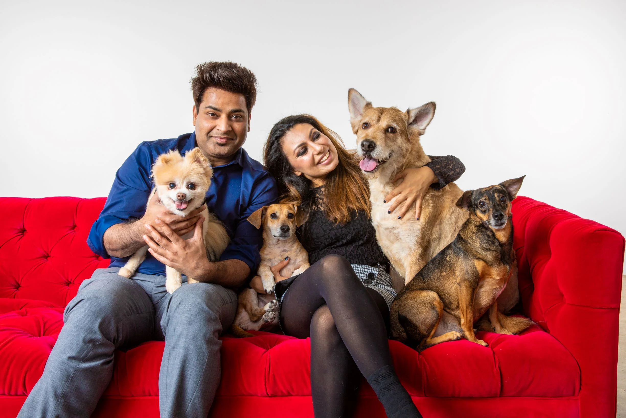 Robyn Arouty — Dog Photographer Houston - Pet Photographer Houston