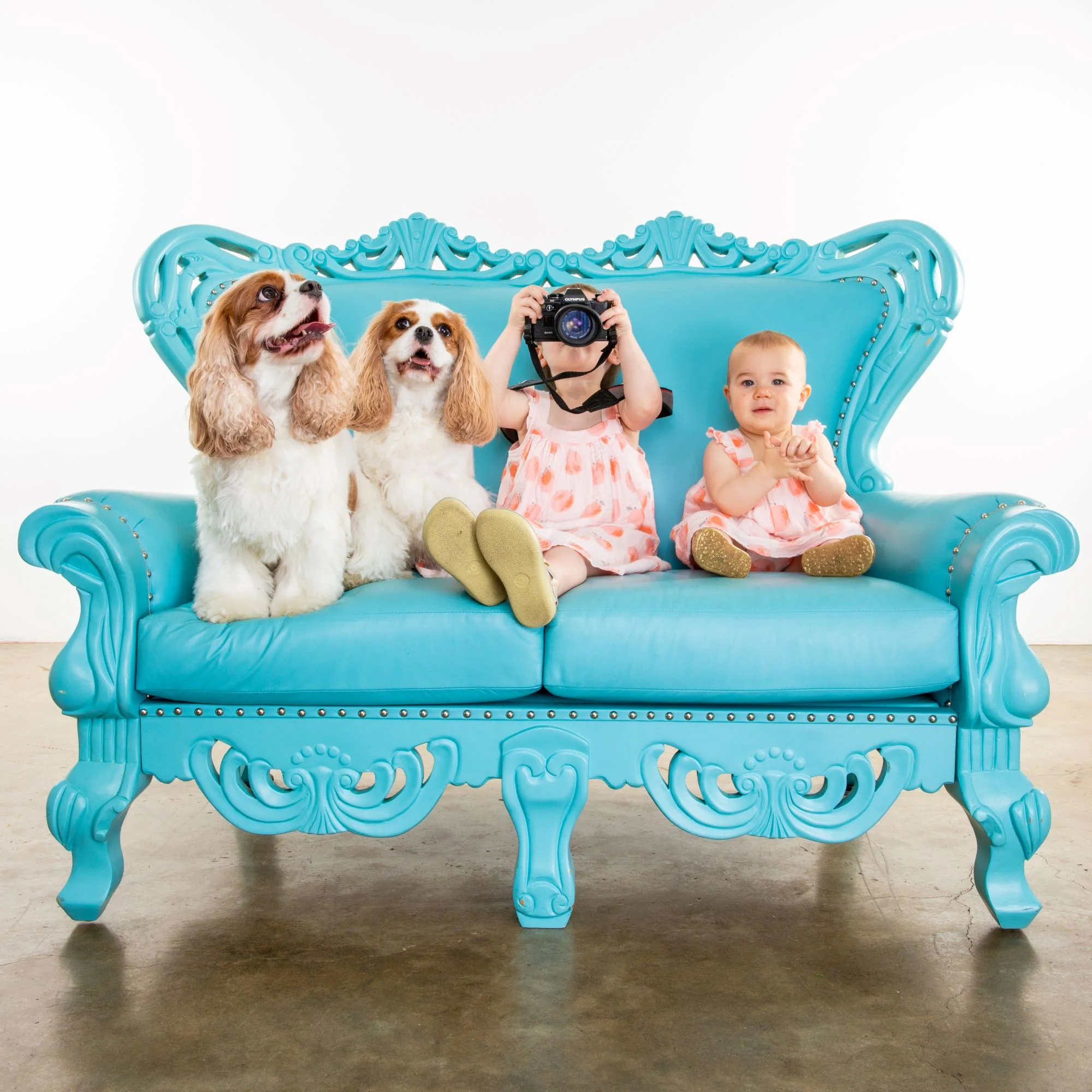 Robyn Arouty — Dog Photographer Houston - Pet Photographer Houston