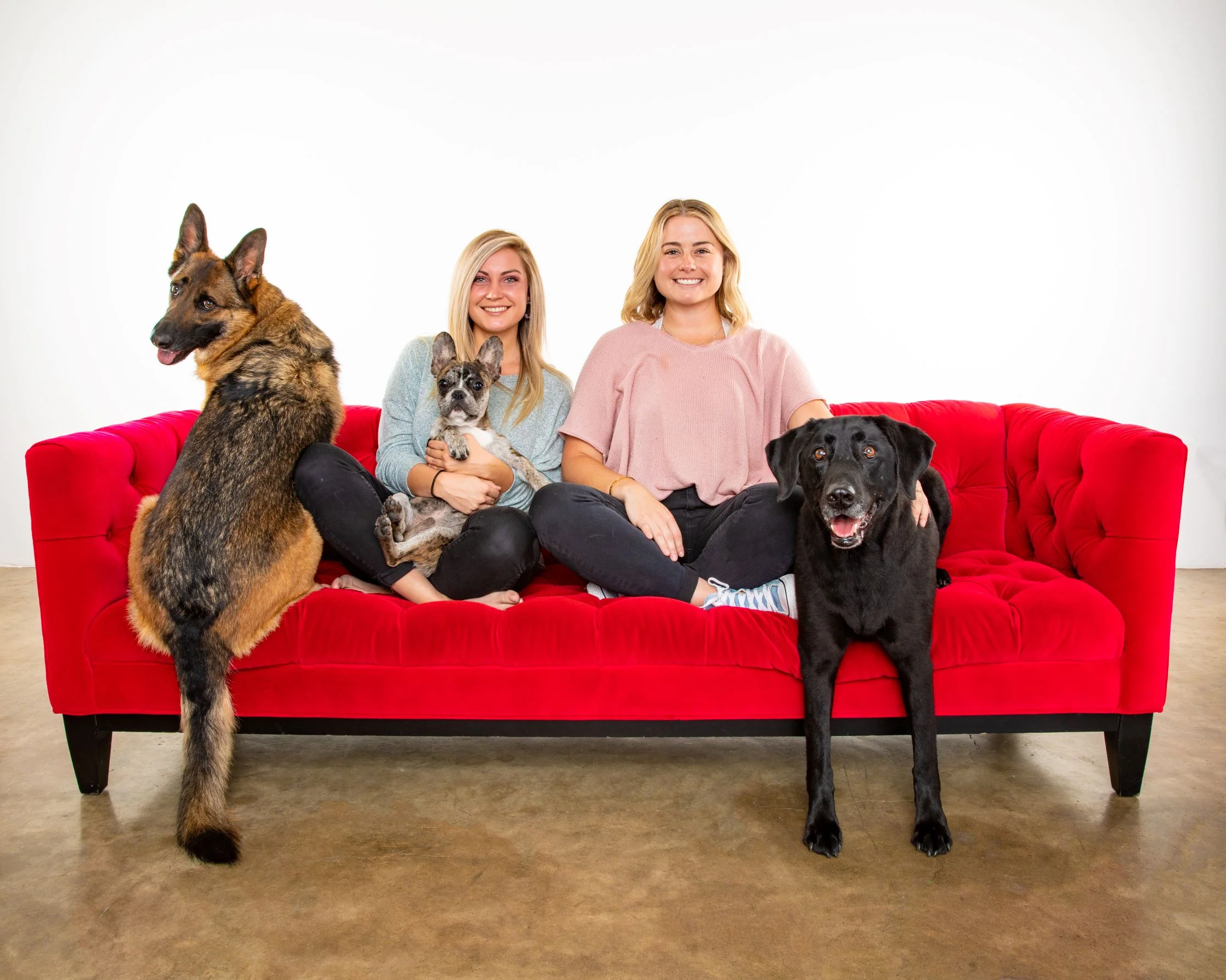 Robyn Arouty — Dog Photographer Houston - Pet Photographer Houston