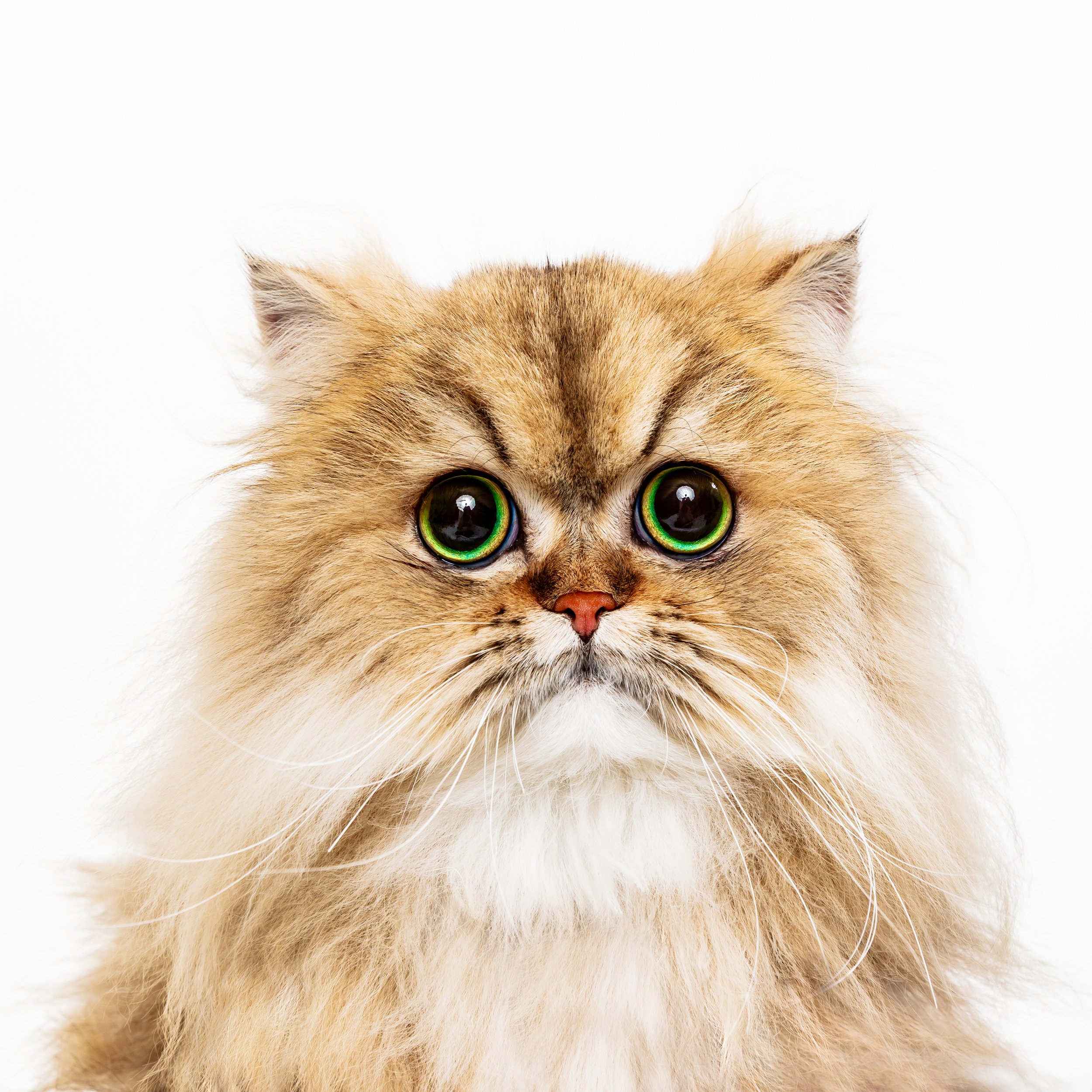C48A5094_.jpg
