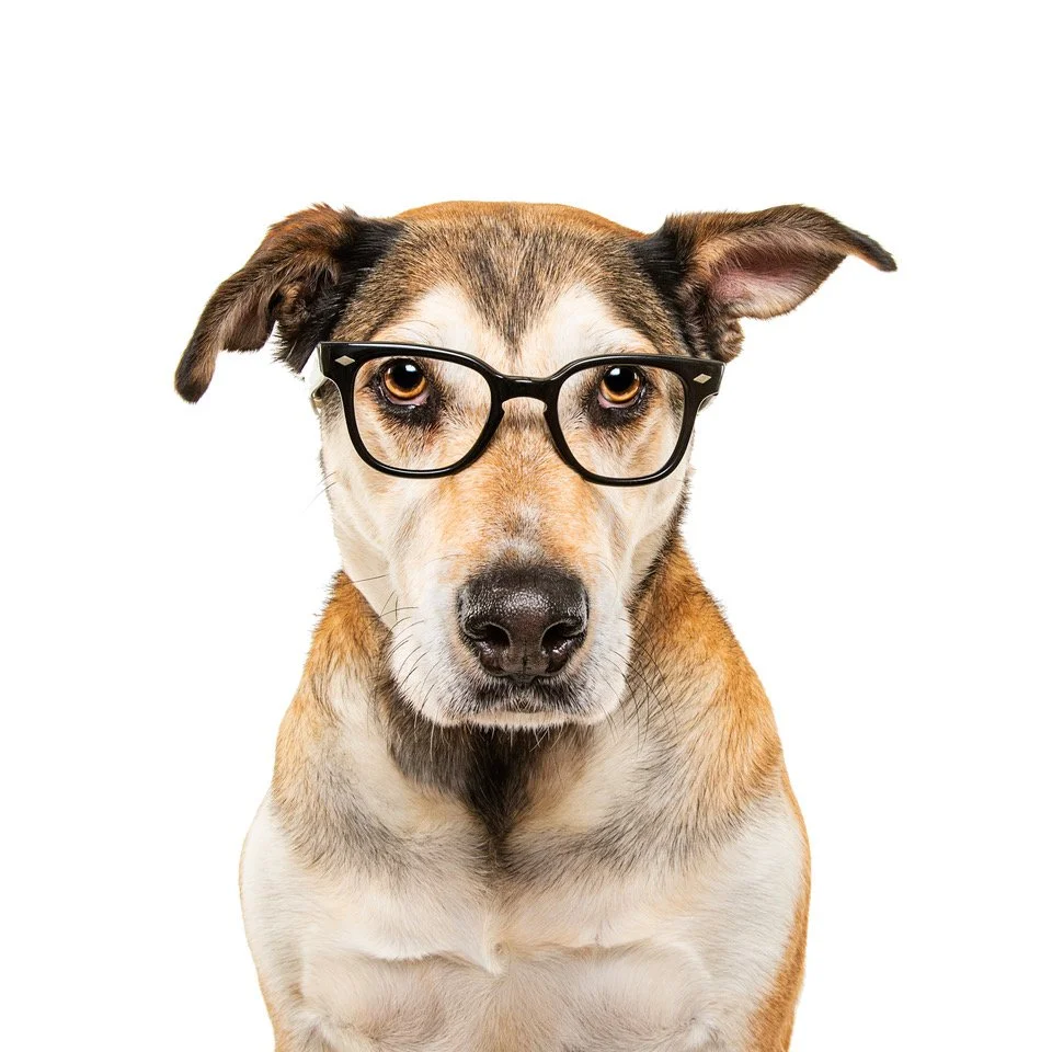 C48A0610-Marlowe final.jpeg