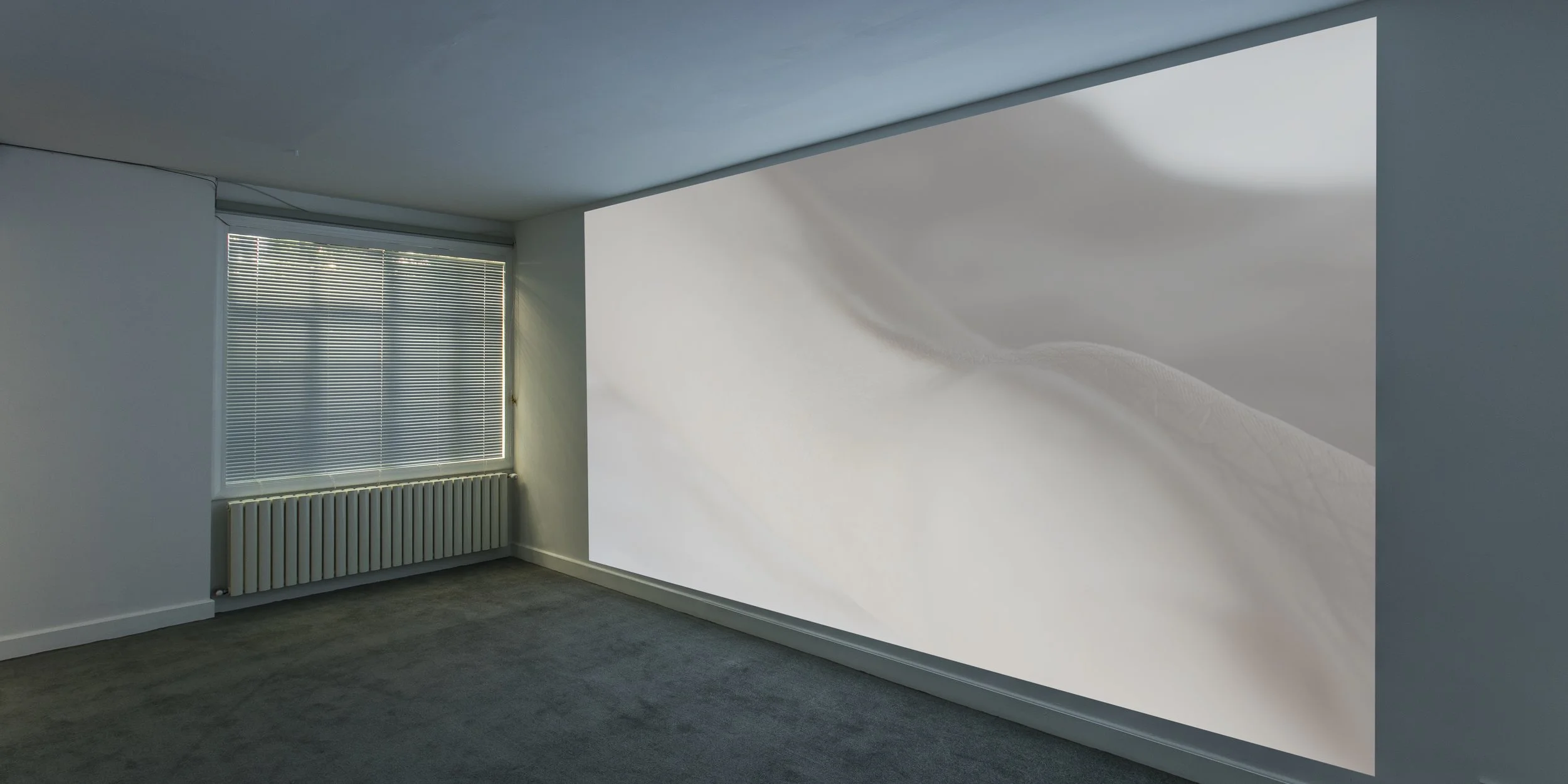 冯晨,“冯晨个展”展览现场,2017.