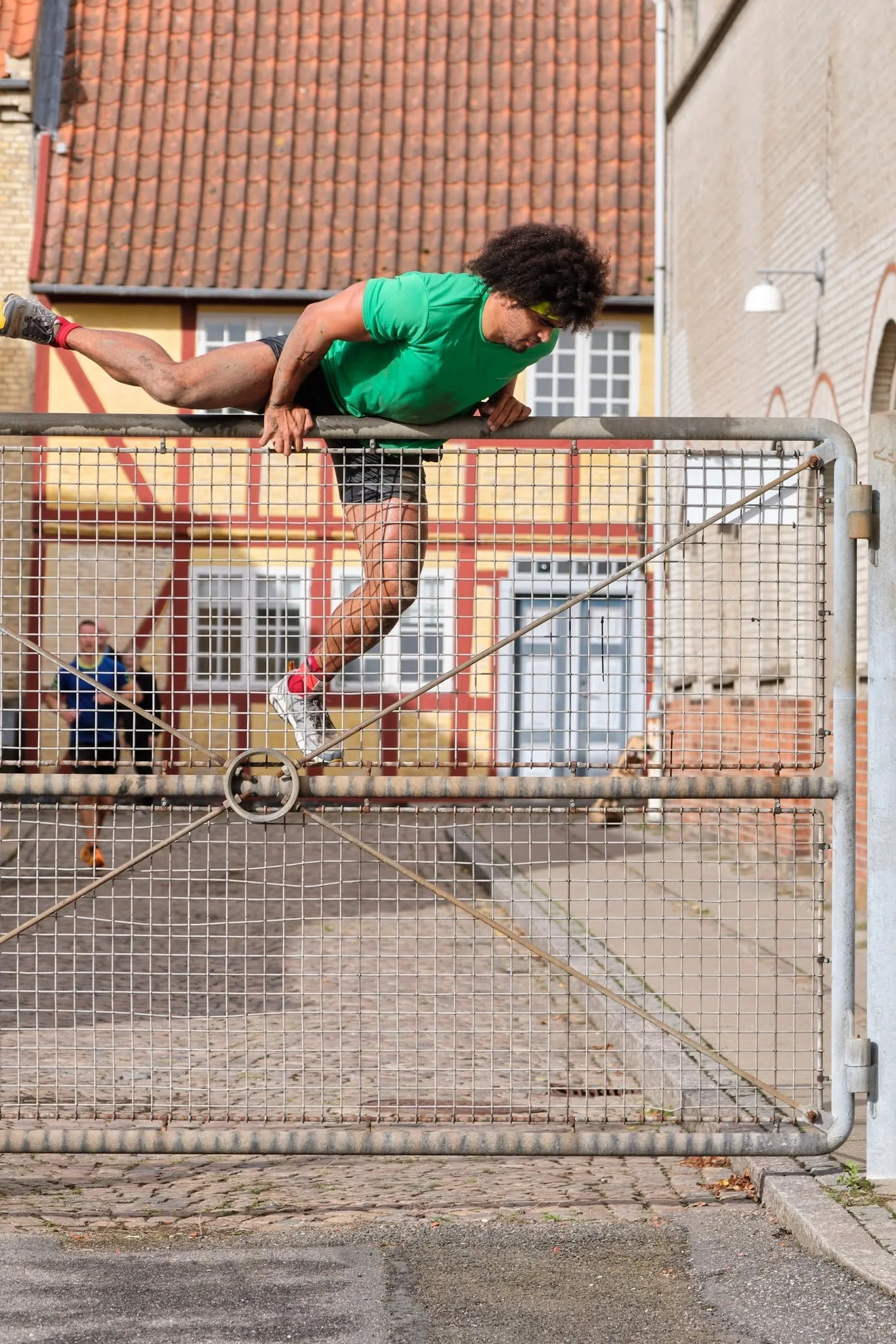 Hegnet 3.jpg