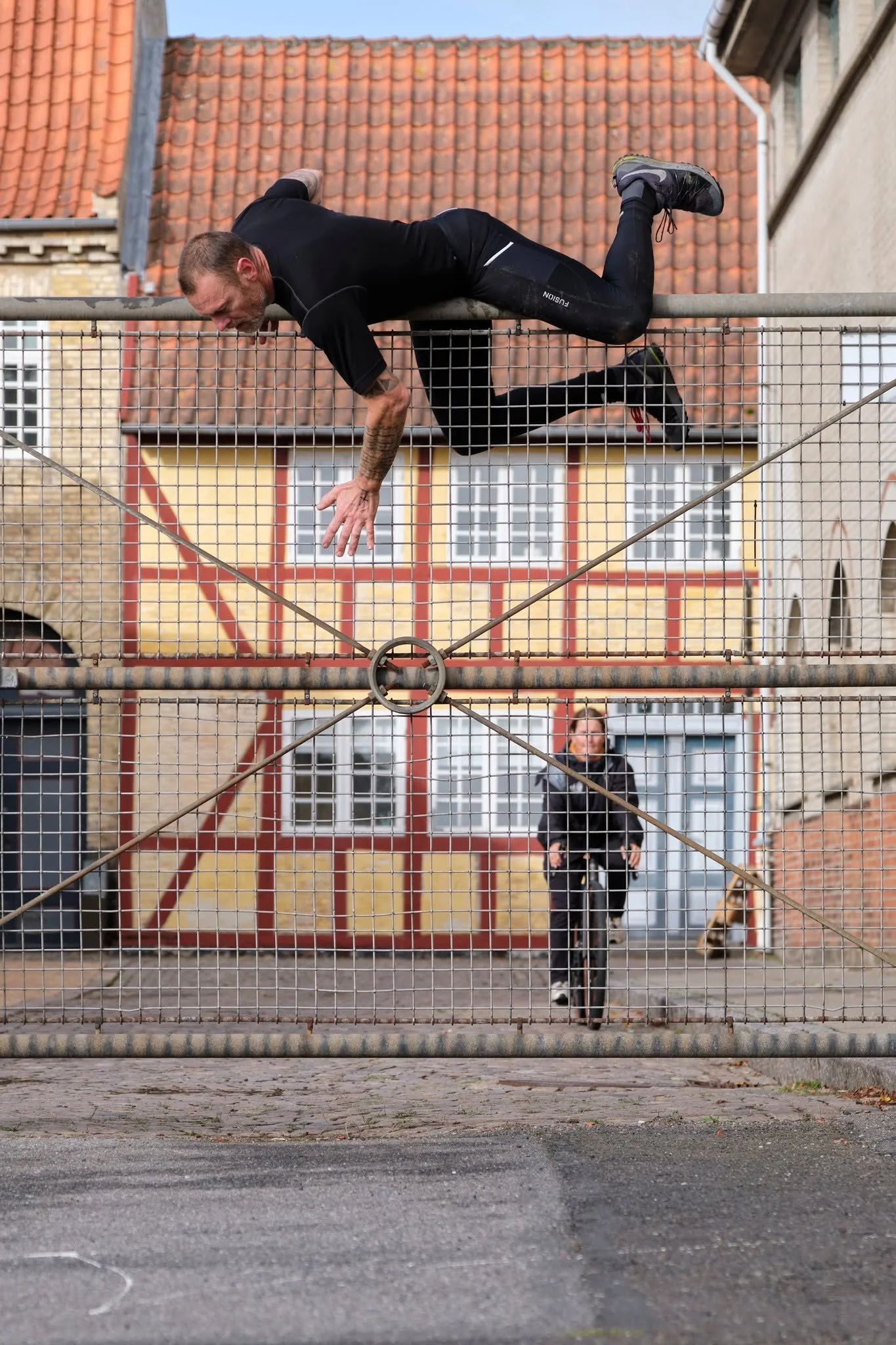 Hegnet 2.jpg